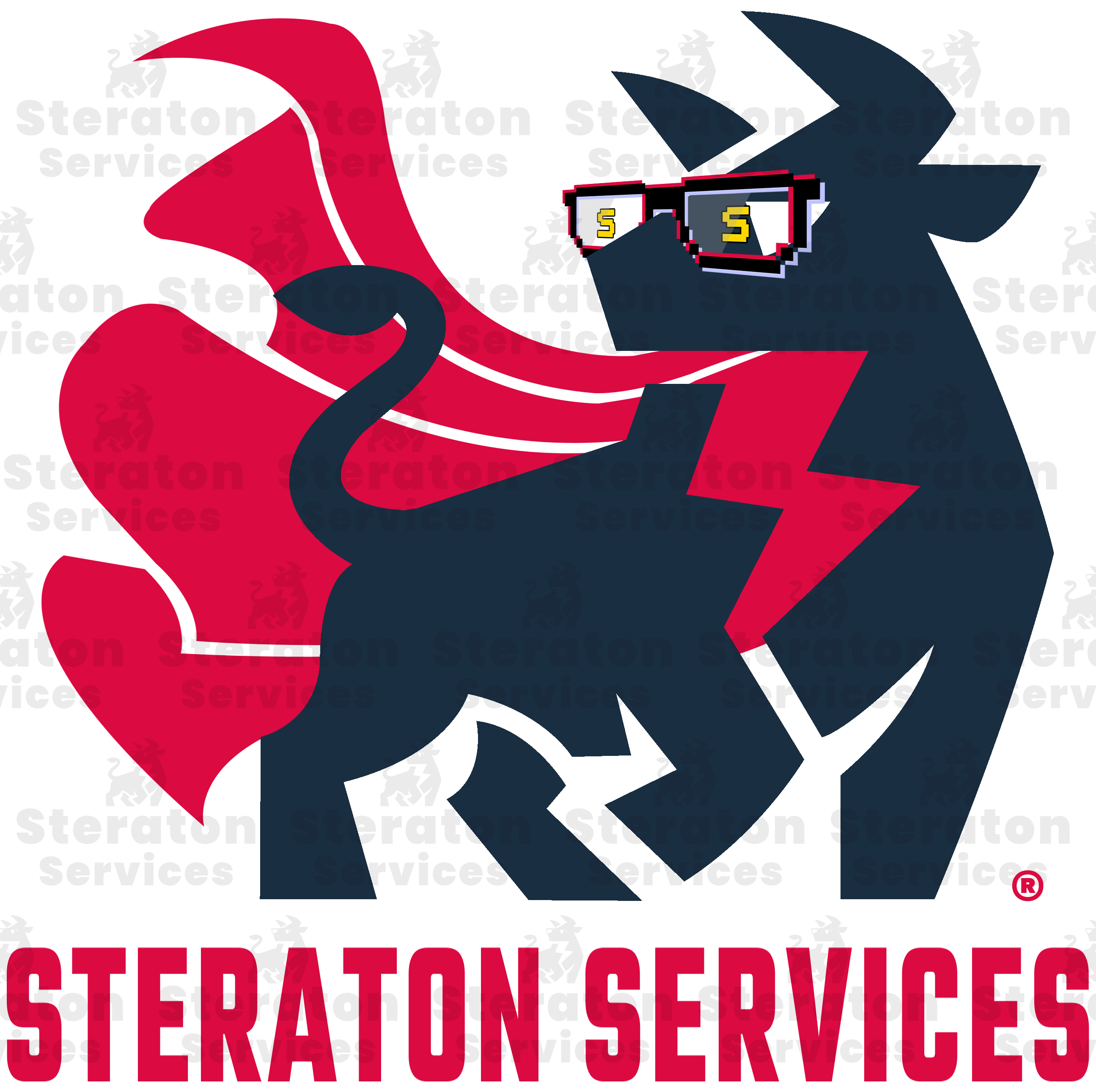 Steraton Full Stack, Cybersecurity & IT Services Logo
